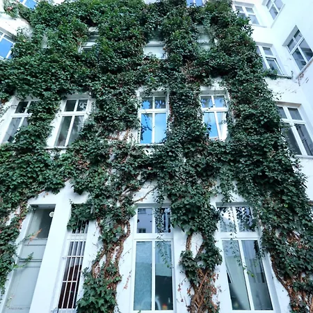 P42 Room22 Kollwitzkiez * برلين